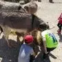 thumb_2485474704.webp