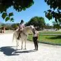 thumb_2485474694.webp