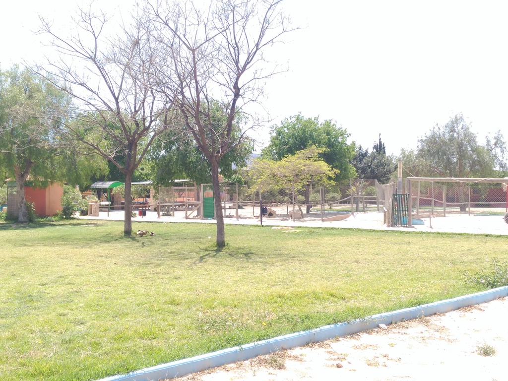 cache_2485474920.jpg