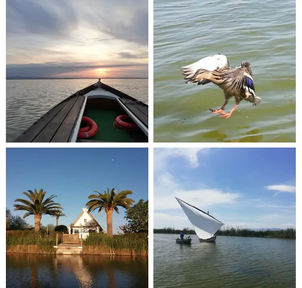 [NATURA ALBUFERA] ALBUFERA + VISITA A BARRACA + JUEGOS