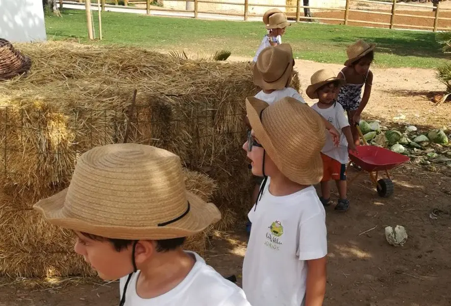 GRANJA ESCUELA SOL DEL CAMP (Agost, Alicante)